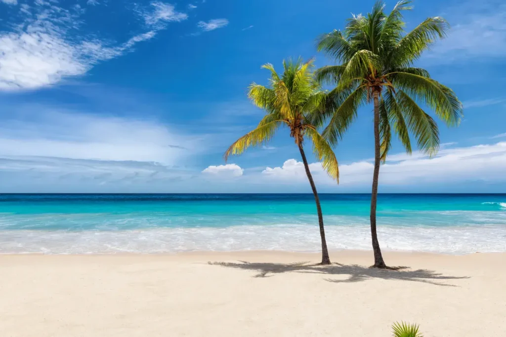Become a BCBA in Florida Become a BCBA in Florida