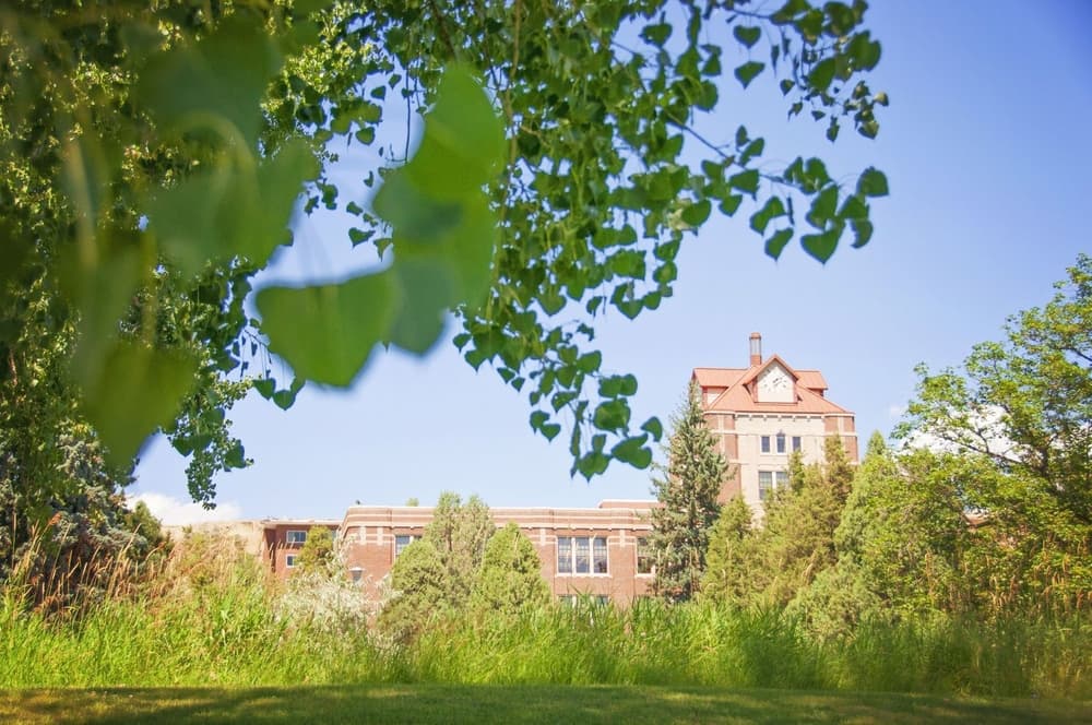 ABA Programs at Montana State University Billings